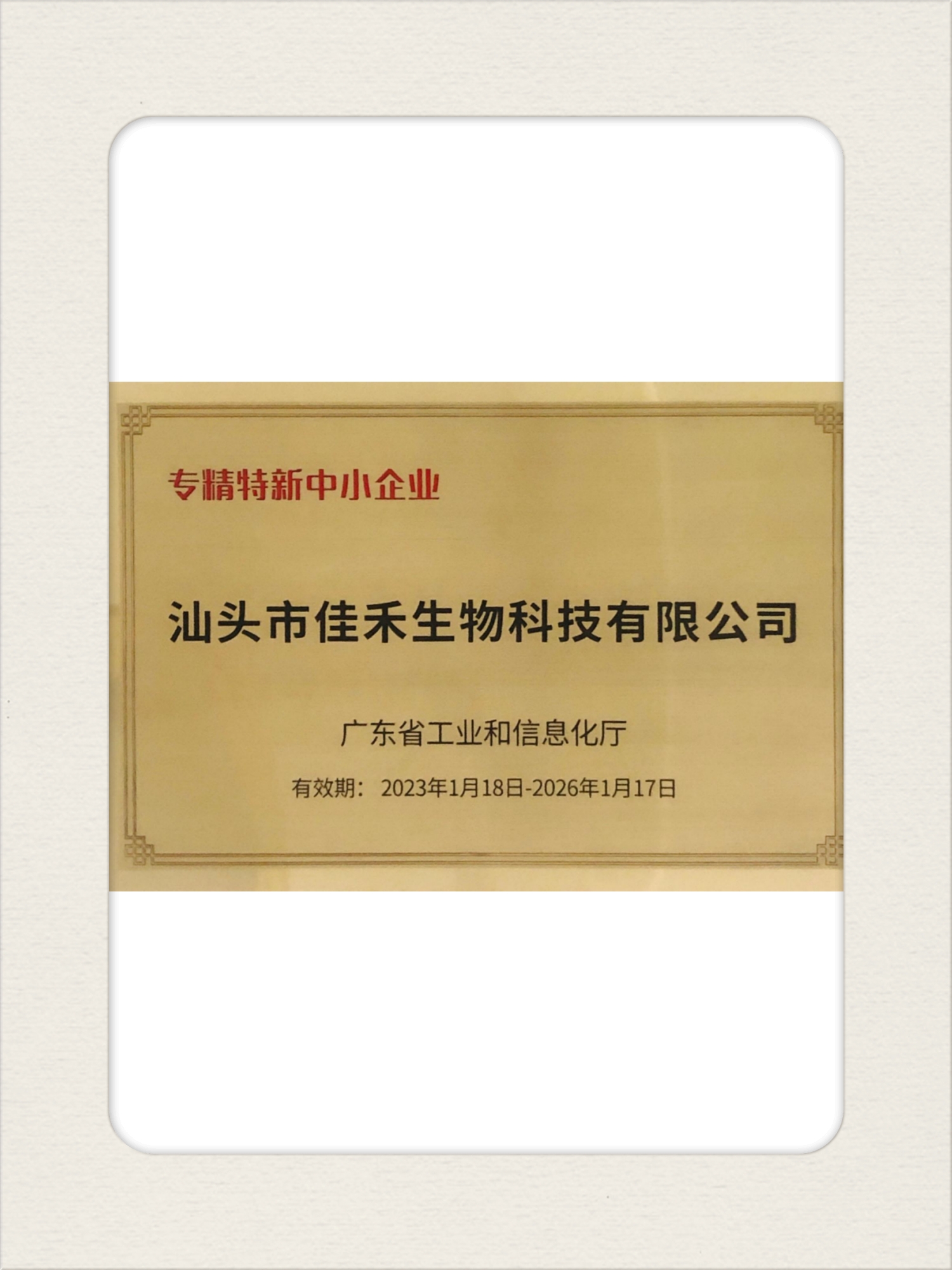 1专精特新【汕头】.jpg